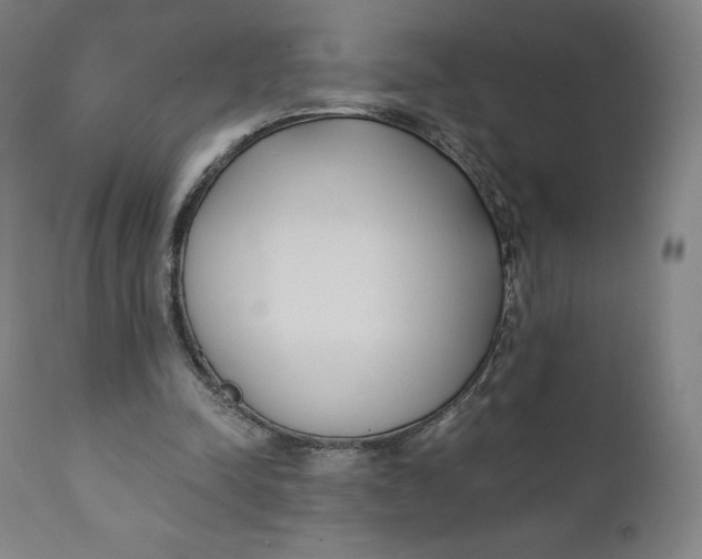 X0000110690342200907021939