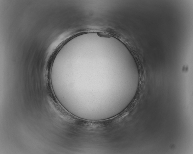 X0000110690343200907021939