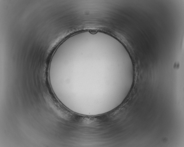 X0000110690346200907021939