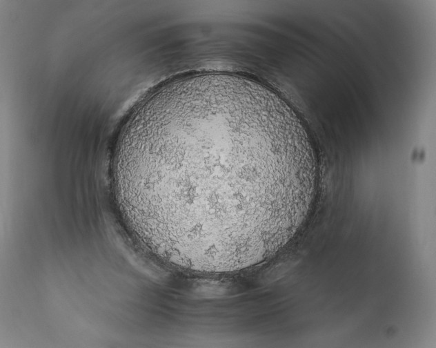 X0000110690347200907021939