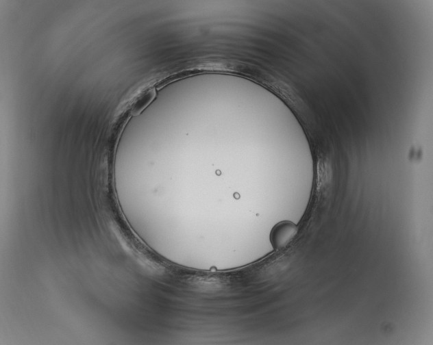 X0000110690349200907021939