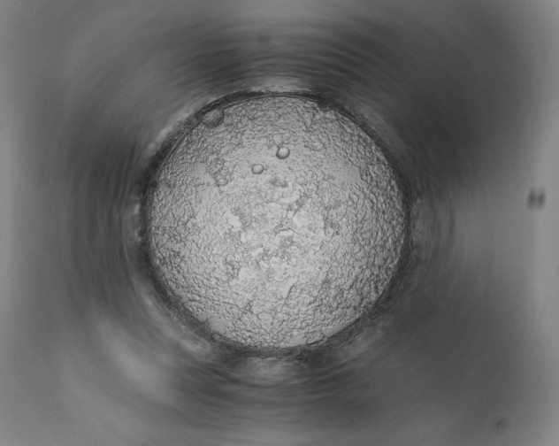 X0000110690351200907021939