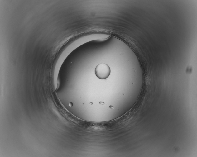 X0000110690352200907021939