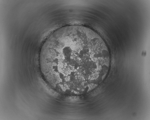 X0000110690353200907021939