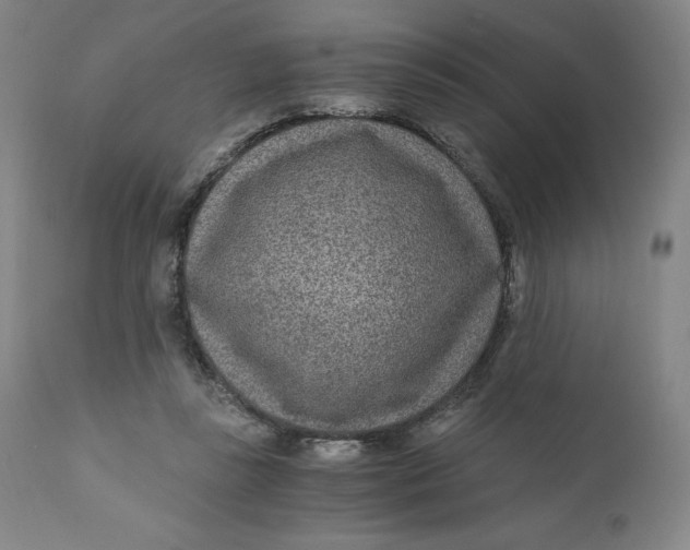 X0000110690355200907021939