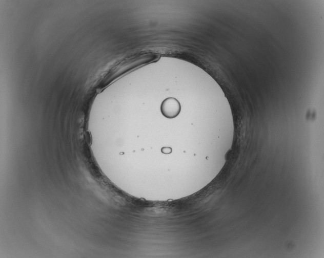 X0000110690356200907021939