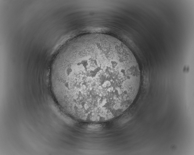 X0000110690357200907021939