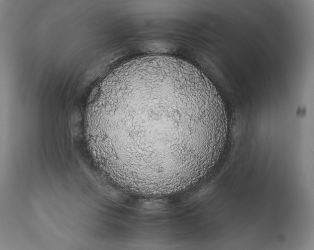 X0000110690359200907021939