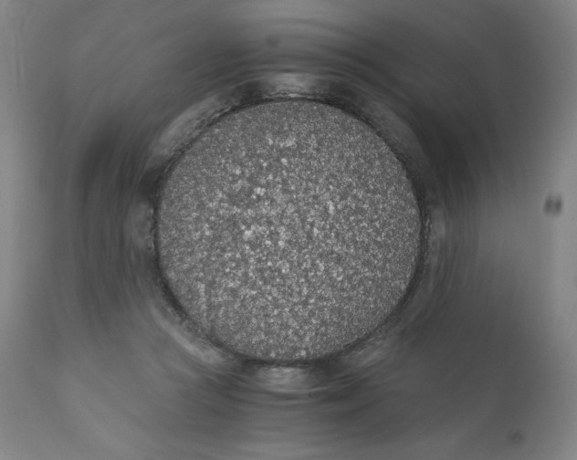 X0000110690361200907021939