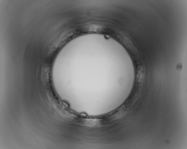 X0000110690363200907021939