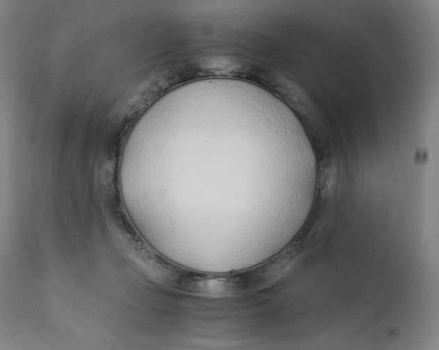 X0000110690365200907021939