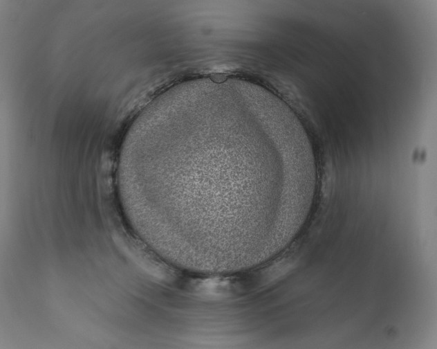 X0000110690366200907021939