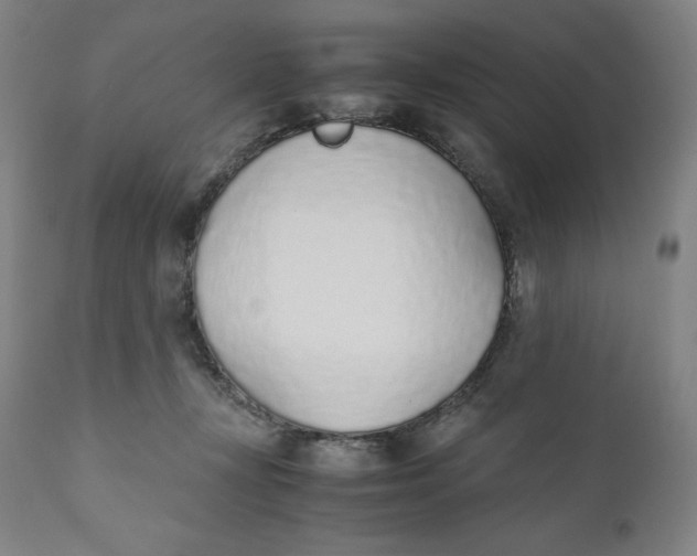 X0000110690367200907021939