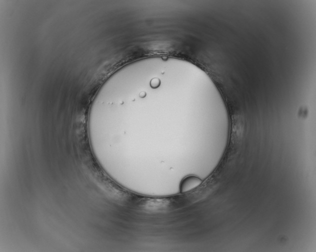 X0000110690369200907021939