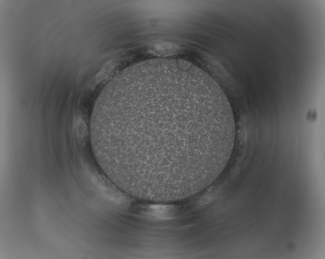 X0000110690371200907021939