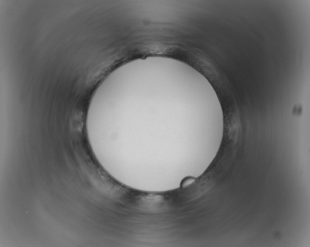 X0000110690374200907021939