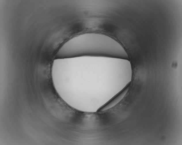 X0000110690376200907021939