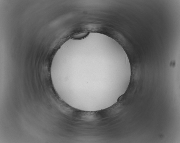 X0000110690377200907021939