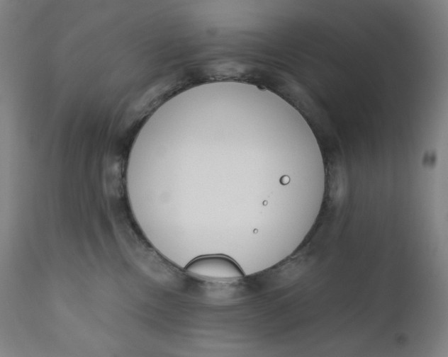 X0000110690378200907021939