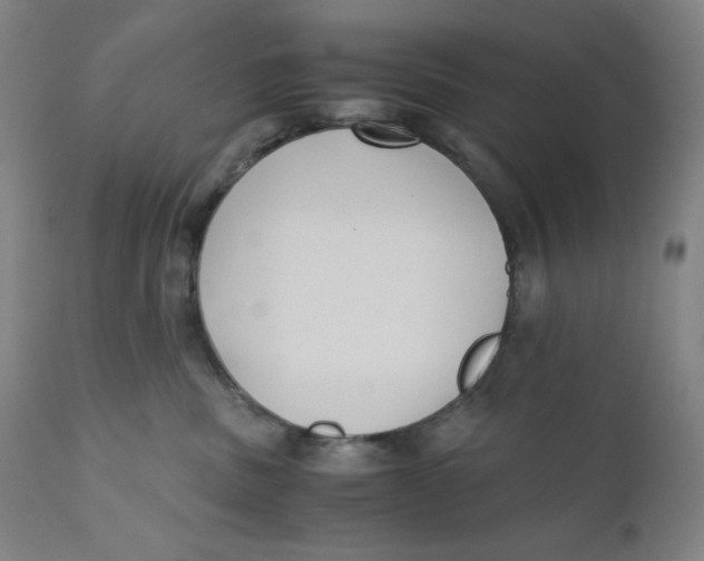 X0000110690379200907021939