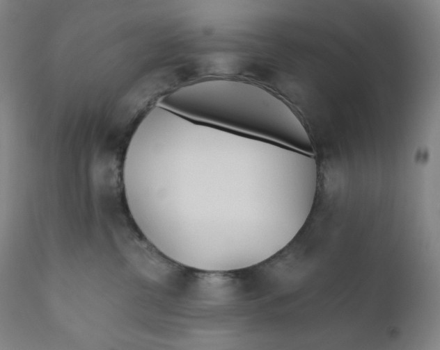 X0000110690380200907021939