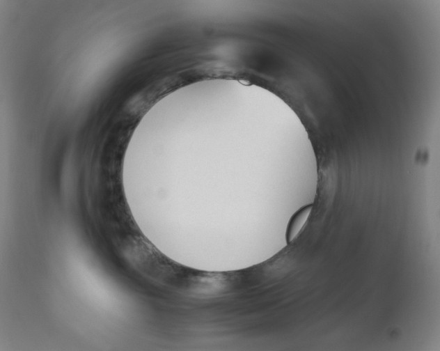 X0000110690381200907021939