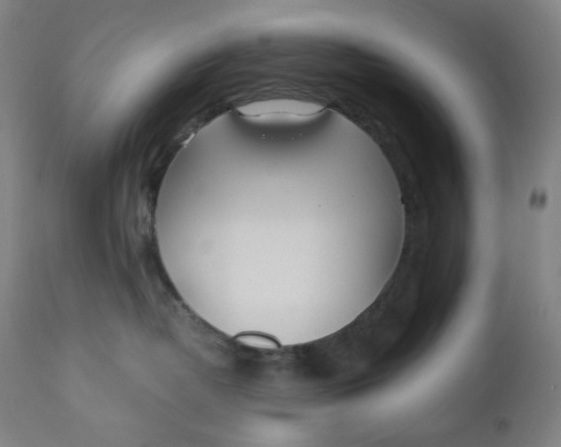 X0000110690382200907021939