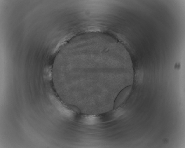 X0000110690383200907021939