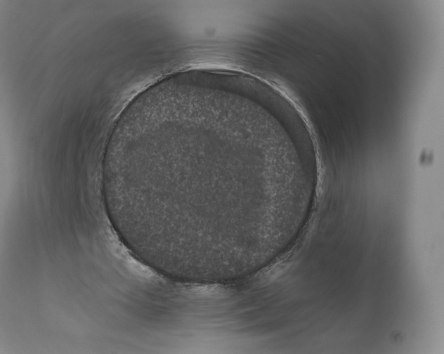 X0000110690385200907021939