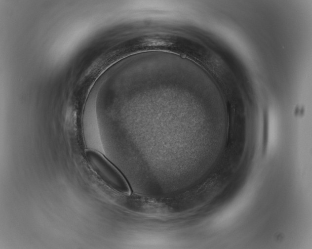 X0000110690387200907021939