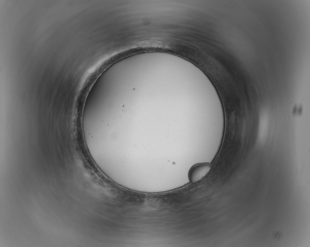 X0000110690388200907021939