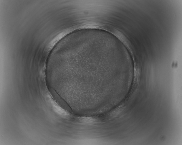 X0000110690389200907021939