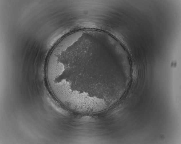 X0000110690390200907021939