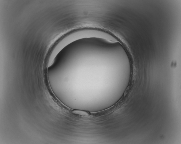 X0000110690391200907021939