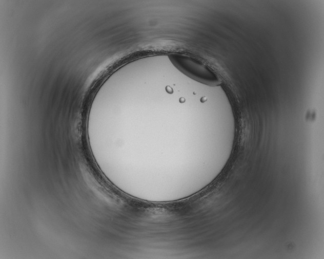 X0000110690392200907021939