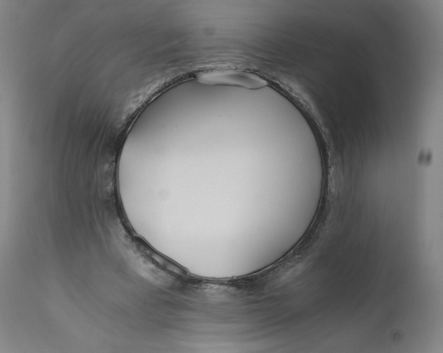 X0000110690393200907021939