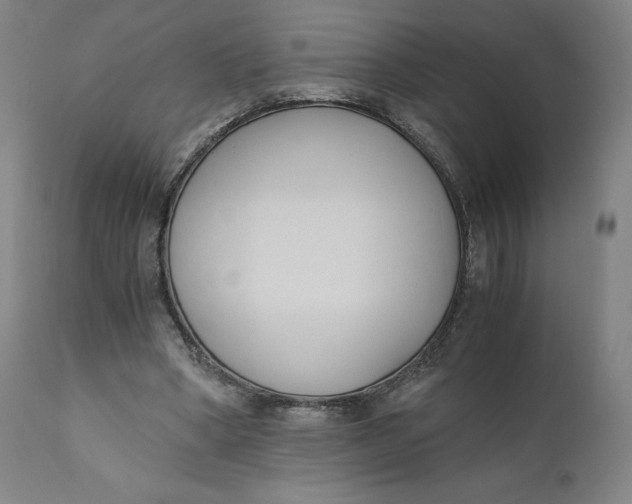 X0000110690394200907021939