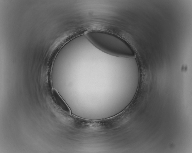 X0000110690395200907021939