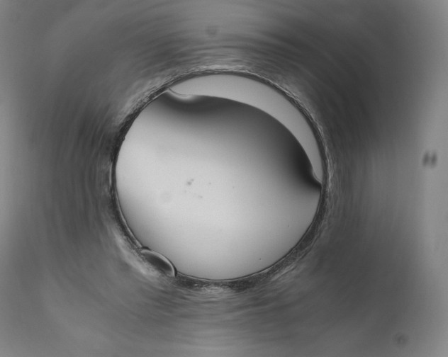 X0000110690397200907021938