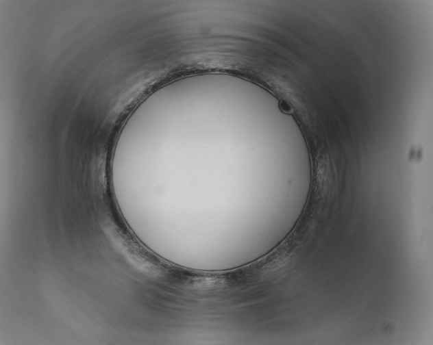 X0000110690398200907021938