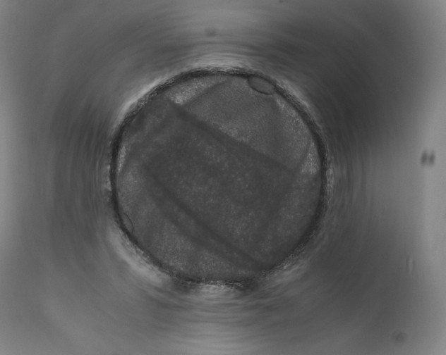 X0000110690399200907021938