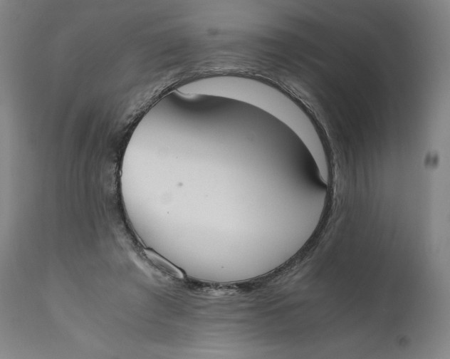 X0000110690401200907021938