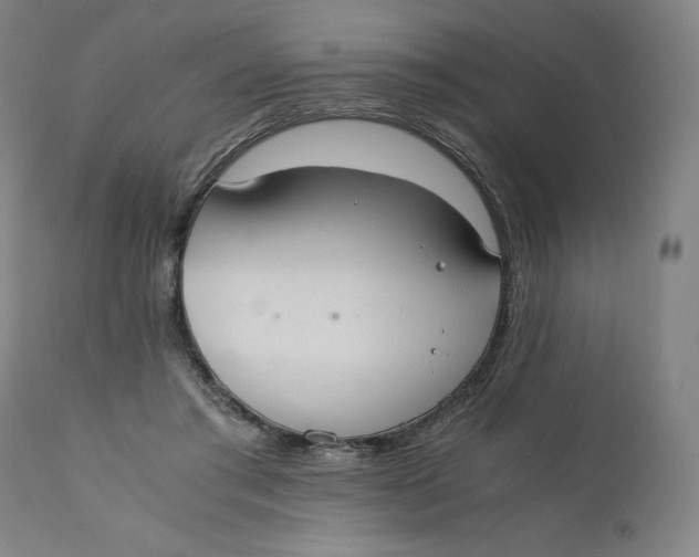 X0000110690405200907021938