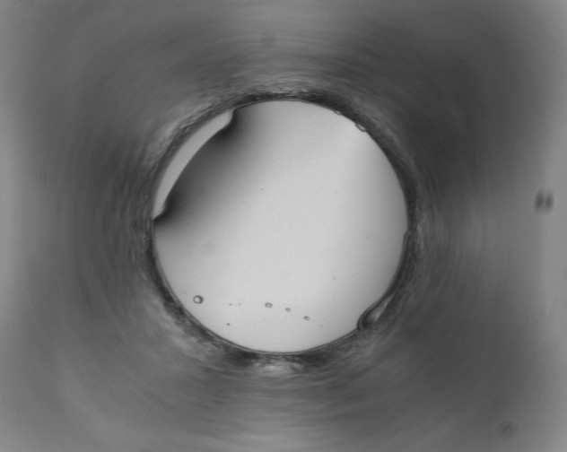 X0000110690407200907021938