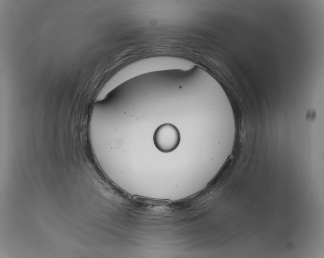 X0000110690409200907021938