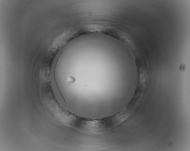 X0000110690411200907021938