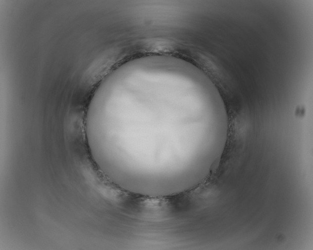 X0000110690415200907021938