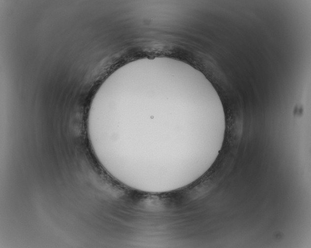 X0000110690416200907021938