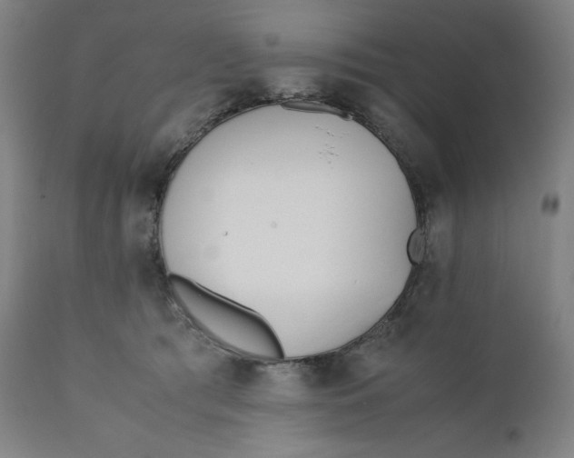 X0000110690417200907021938