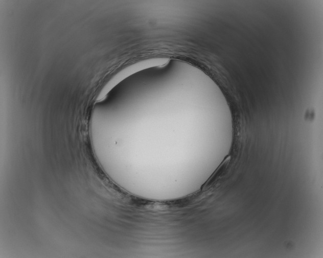 X0000110690419200907021938